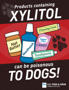 xylitol-dangerous-to-dogs-flyer-promo-900x1163
