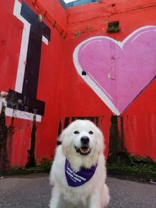I Heart Hudson Official Photo IMG_0117