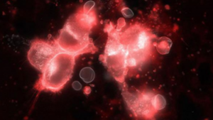 Notre Dame researchers to develop platform that could diagnose cancer using a drop or two of blood in as little as three hours