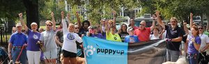 Walk Banner