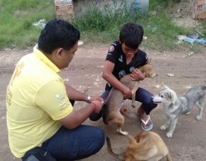 ppaws-mission-3