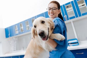 Want to run away. Positive delighted vet keeping smile on her face and looking downwards while embracing dog