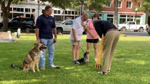 All Dogs Go to Heaven: South Georgia pets blessed downtown