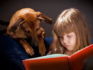 October is Adopt-A-Shelter-Dog Month. How Can I Help?