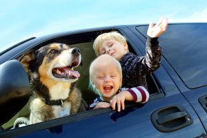 dog-and-kids-in-car