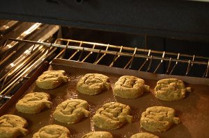 pumpkin-oven dog treats
