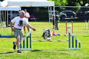 running a gauntlet