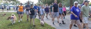 PuppyUp Walk Banner for Nov 2019 newsletter