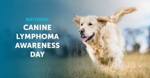VetDC_National-Canine-Lymphoma_10-30-18-01-1024x536