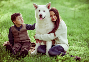 pet cancer awareness month