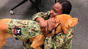 Sit, Heal: Dog Teaches Military Med Students The Merits Of Service Animals