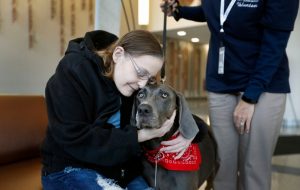 At Roswell, dog that beat cancer provides joy and comfort to patients