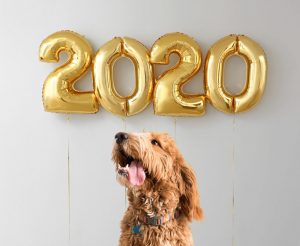 new year 2020