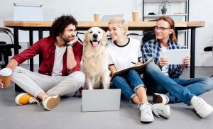 Pets impact how we shape communities
