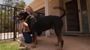 Dr Annika Oksa with cancer survivor Griffin. Image: 10 News First.