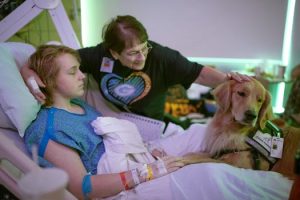 University of Minnesota’s Rocket on the front lines of service dog revolution in hospital care