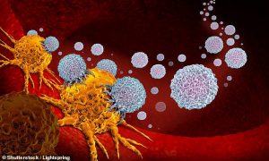 T-cells attack tumour cells in this stock image