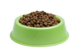 bowl of dog food