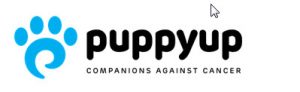 email banner 123 2020