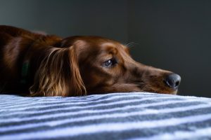 Photo by Ryan Stone on Unsplash