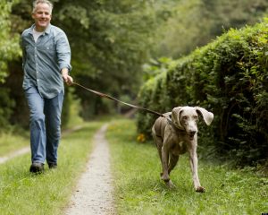 walking the dog