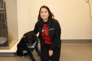 Puppy Up Foundation | MedVet Chicago Announces New Oncologist!