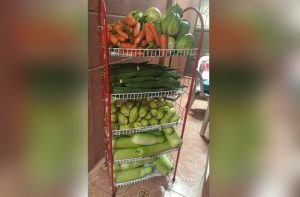 The best fruits and veggies for your pet