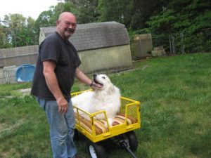 Our friends Kerry and Chief Sneddon were two of the many people who came to the celebration. Here's Chief, getting a ride in his own Puppy Up wagon.