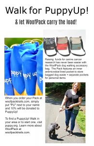 WoofPack flyer