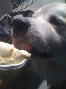 It wasn't ALL bad! Ice cream was a treat but well deserved.
