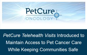 pet cure oncology logo