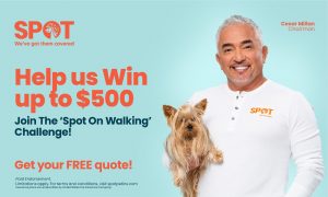 wooftrax get your free quote