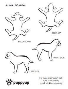 Lumps and Bumps chart