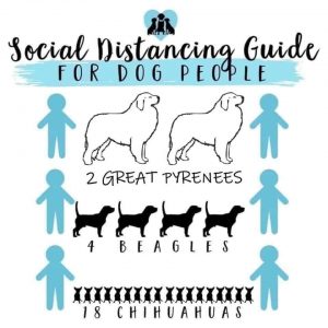 social distancing guide for dog people