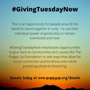 giving tuesday