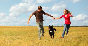 very-happy-dog