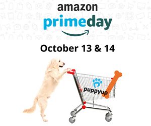 prime day