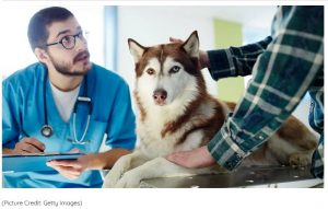 Pet Cancer Awareness Month