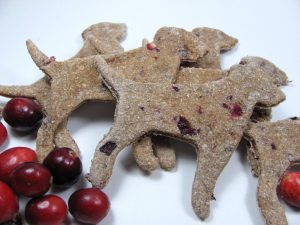 Apple-Cranberry dog treats