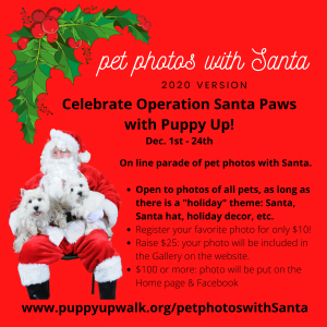 pet photos with Santa etc