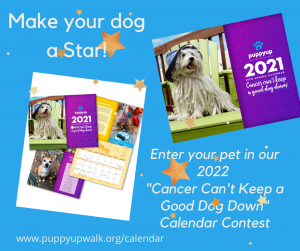 Enter your pet in our 2022 Cancer Can't Keep a Good Dog Down Calendar Contest