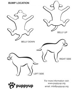 1375_450_x_500_diagram
