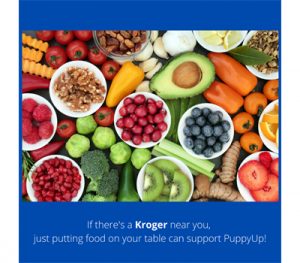 1590_400_x_350_kroger
