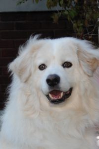 2040_0018 Hudson (2)