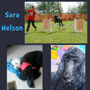 Sara Nelson vs 1