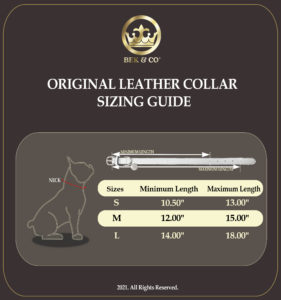 Original Leather Collar Sizing Guide-4000px