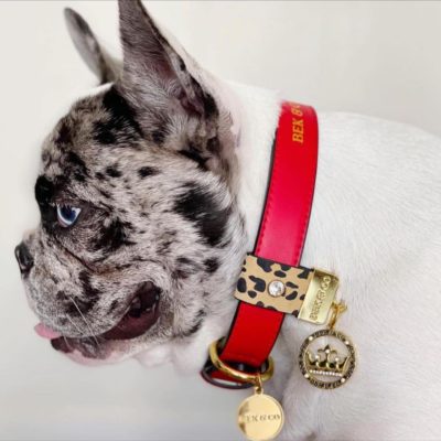 leather collar-red