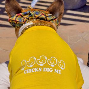 chicksdigme