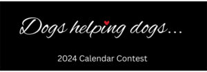The Puppy Up Foundation is excited to announce the opening of our 2024 Calendar Contest.