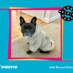 PUP-0043_2025Calendar